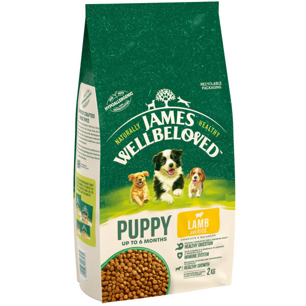 James Wellbeloved Lamb & Rice Puppy Food 2kg