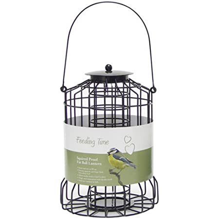 Rosewood Squirrel Proof Ball Lantern For Wild Birds