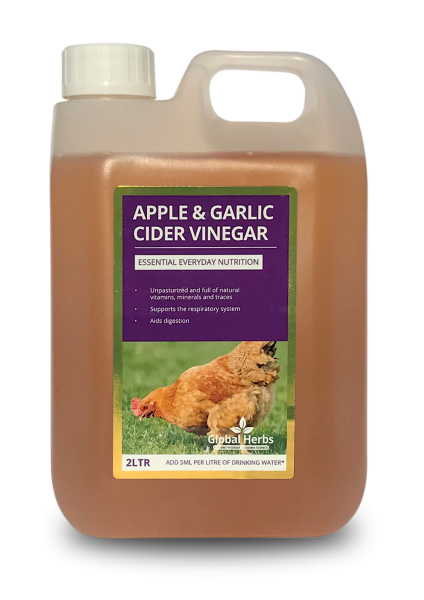 Global H Apple & Garlic Cider Vinegar(C)