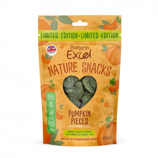 Burgess Excel Nature Snacks Pumpkin Pieces 12 x 60g Ltd Edition