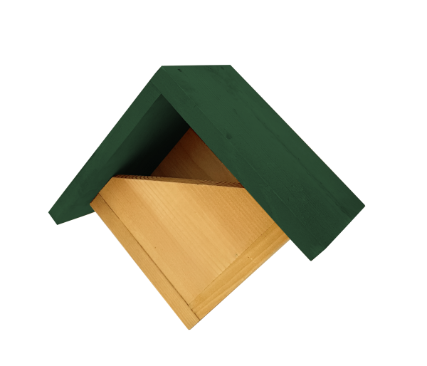 Johnston & Jeff Robin Nest Box with Green Roof