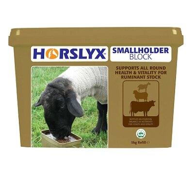 Horslyx Smallholder Block 5kg