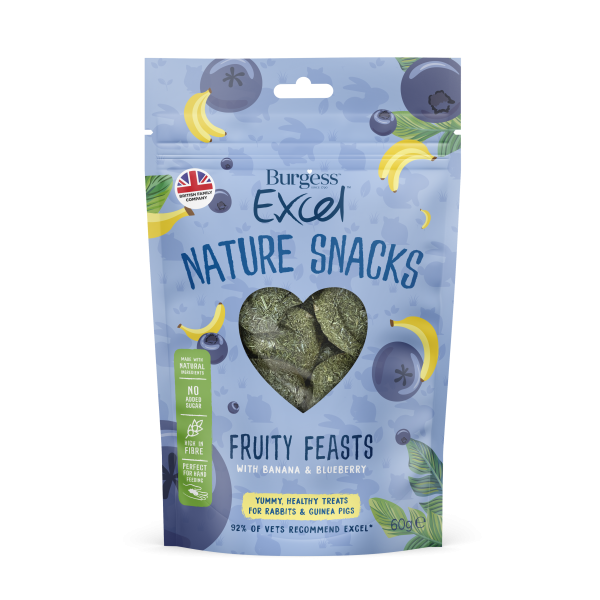 Burgess Excel Nature Snacks Fruity Feasts 12 x 60g