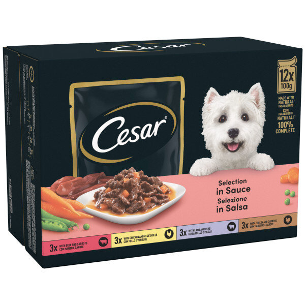 Cesar Pouch Deliciously Fresh Favourites in Sauce 4 x 12 x 100g
