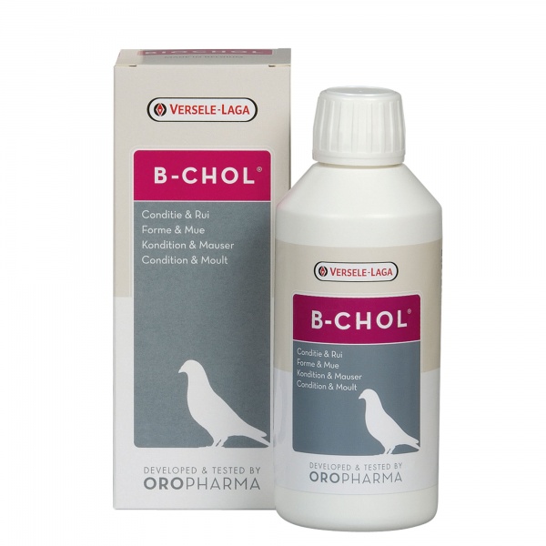Versele Laga Oropharma B-Chol Pigeon Supplement 500ml
