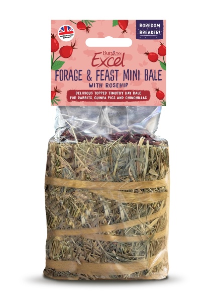 Burgess Excel Forage & Feast Mini Bale Rosehip 8 x 100g