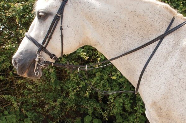 Rhinegold 'Elegance' Stitched Running Martingale