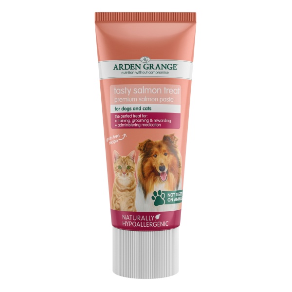 Arden Grange Tasty Salmon Treat Paste 75g