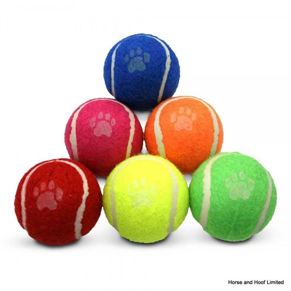 Dog Life Six Pack Tennis Balls