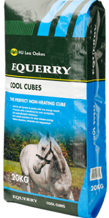 Equerry Cool Cubes Horse Feed 20kg