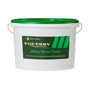 Equerry Minty Horse Treats 1.8kg