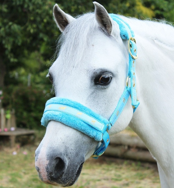 Gallop Fluffy Headcollar with Removable Fur