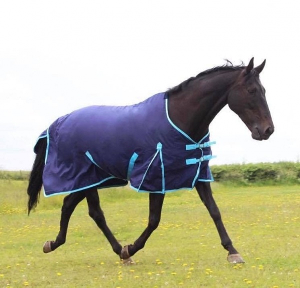 Gallop Summer Horse Sheet/Rug  - Navy/Sky Blue