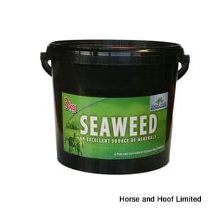Global Herbs Seaweed Poutry Supplement 500g
