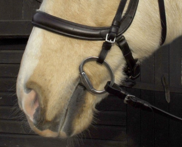 Heritage - Anatomical Cavesson Bridle