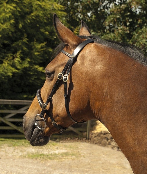 Heritage - English Leather In-hand Bridle