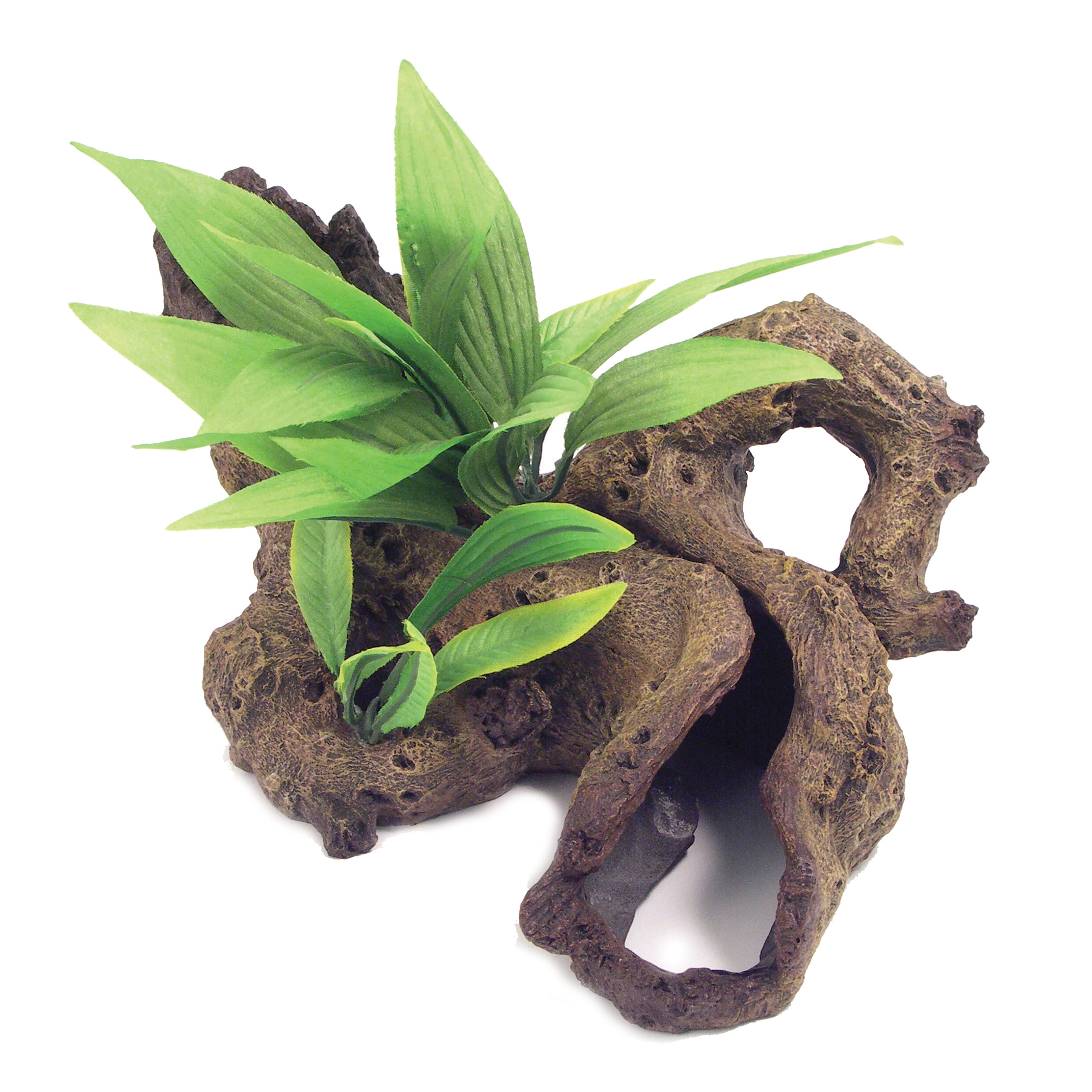 Rosewood Blue Ribbon Mopani Wood with Plants Small