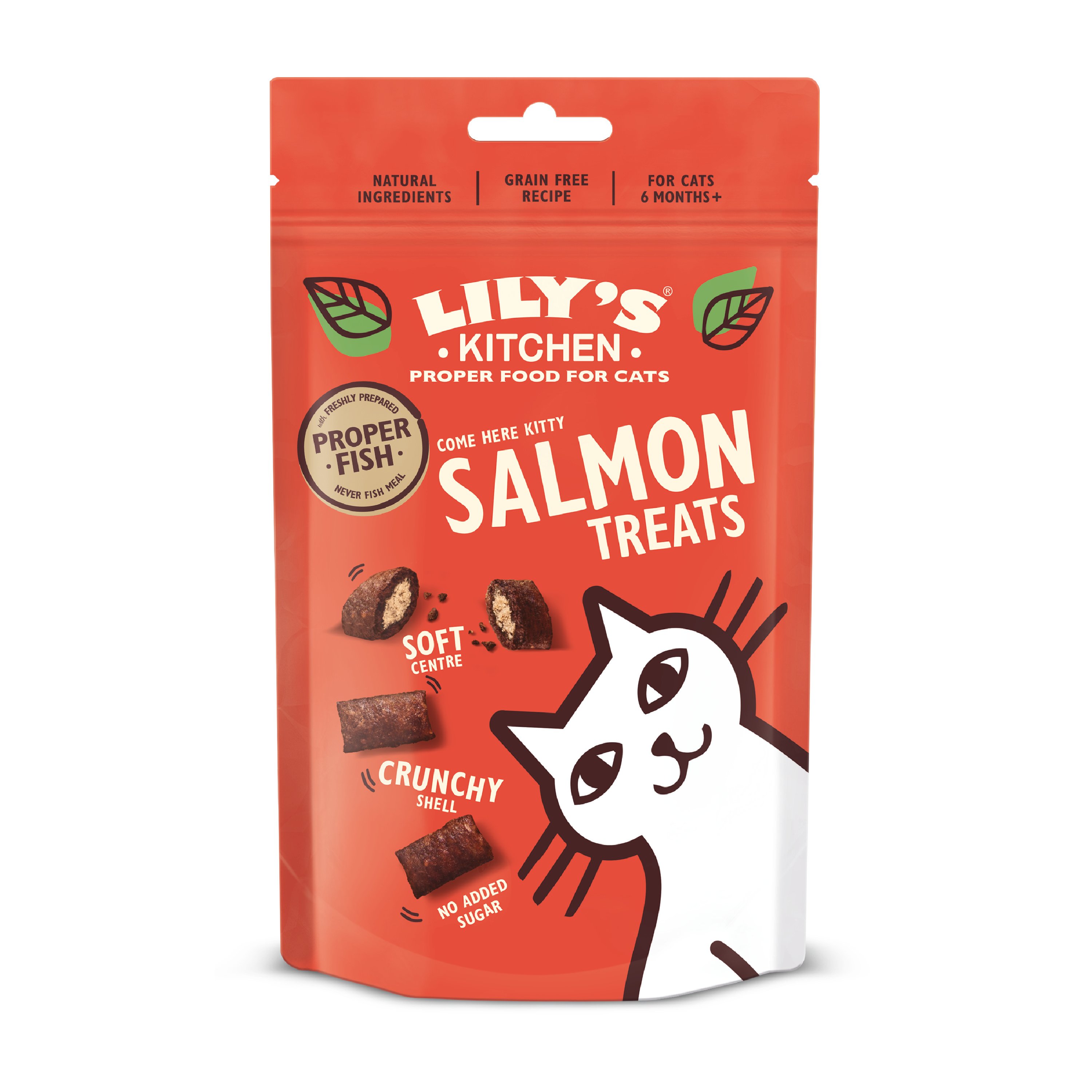 Lily's Kitchen Cat Salmon Treats 10 x 60g