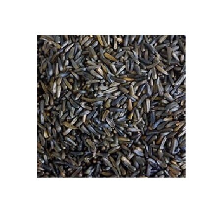 Hutton Mill Nyjer Seed 12.5kg