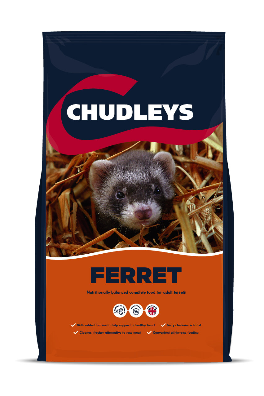 Chudleys Ferret