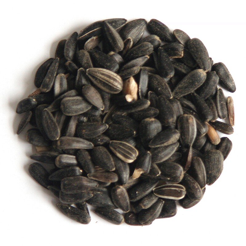 Hutton Mill Black Sunflower Seed 13kg