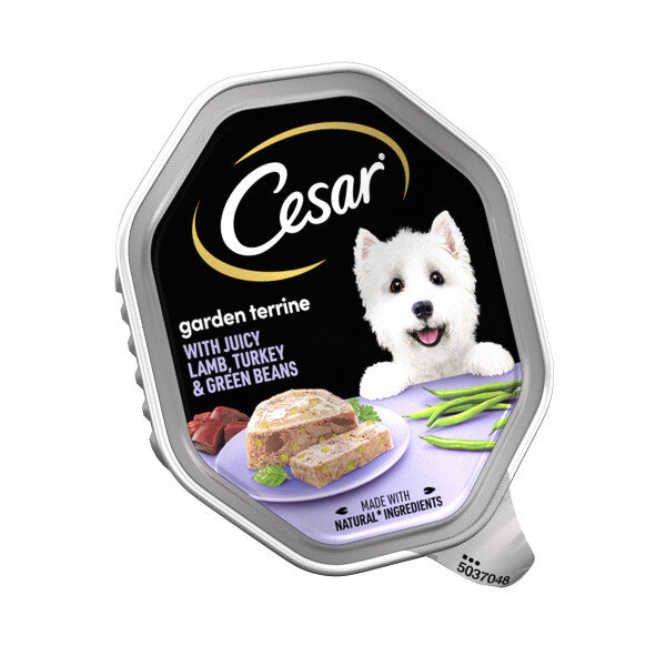 Cesar Classics Tender Turkey & Lamb Dog Food 14 x 150g