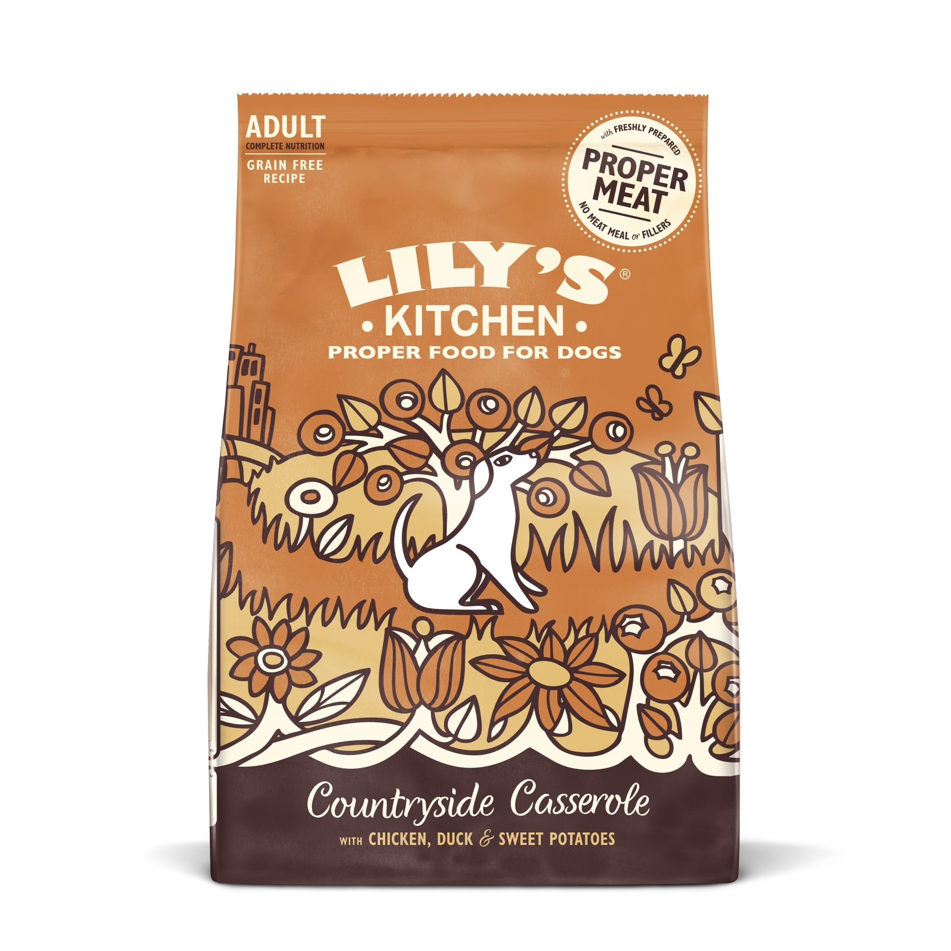 Lily's Kitchen Chick & Duck Dog Food 1kg