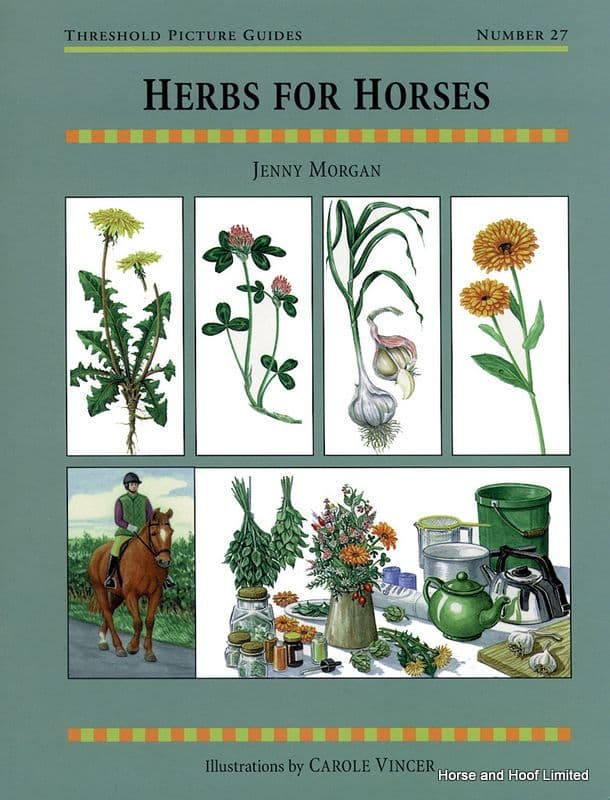 Herbs For Horses - Jenny Morgan