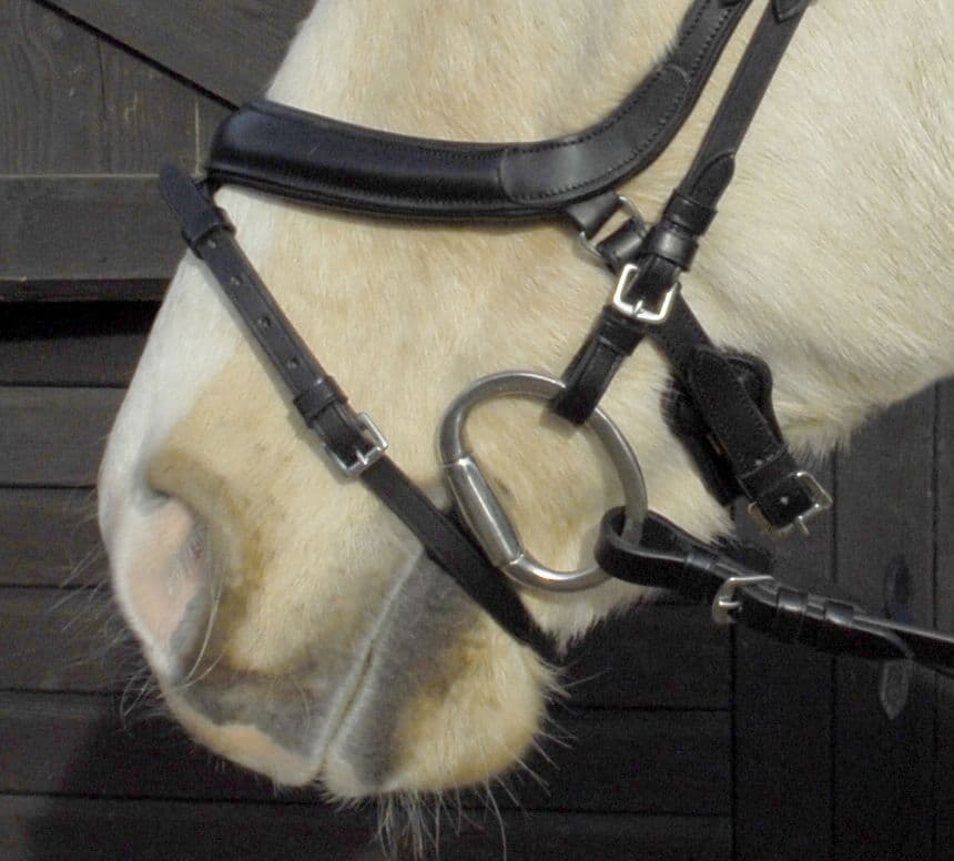 Heritage - Anatomical Flash Bridle - horse and hoof