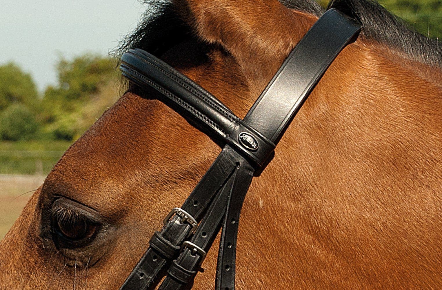 Heritage English Leather Bridle With Raised Cavesson Noseband - Horse ...