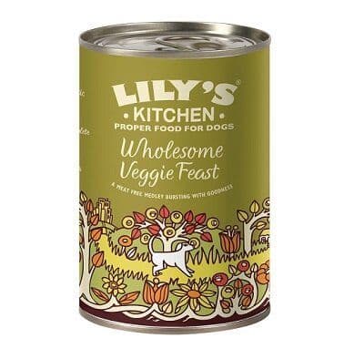 Lily's Kitchen Wholesome Veggie Feast Tins 6 x 375g