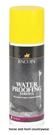 Lincoln Water Proofing Aerosol