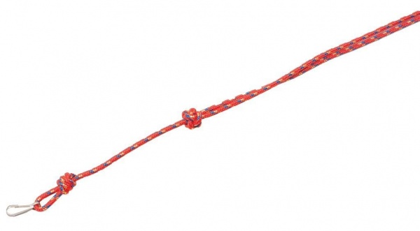 Multicoloured Red Lanyard By Bisley