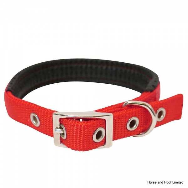 Rosewood Soft Protection Collar