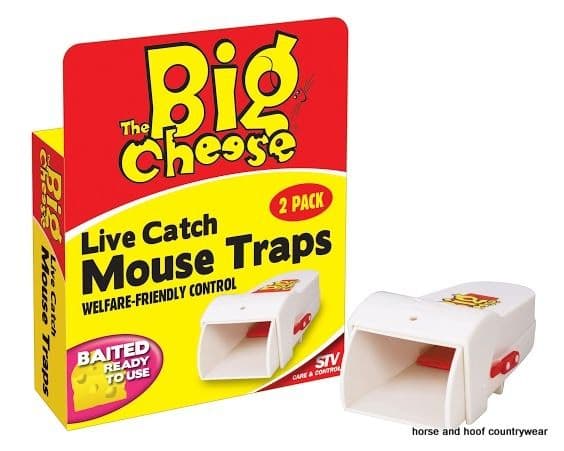 STV International Live Catch Mouse Traps