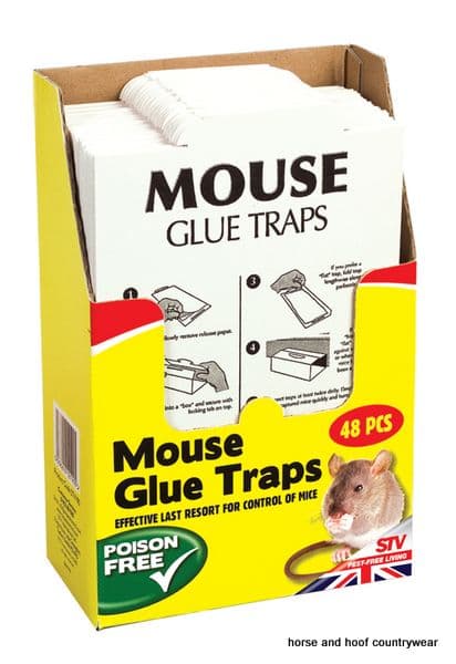 STV International Mouse Glue Traps