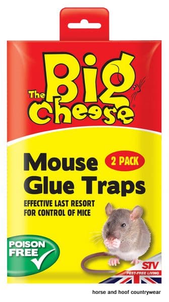 STV International RTU Mouse Glue Trap