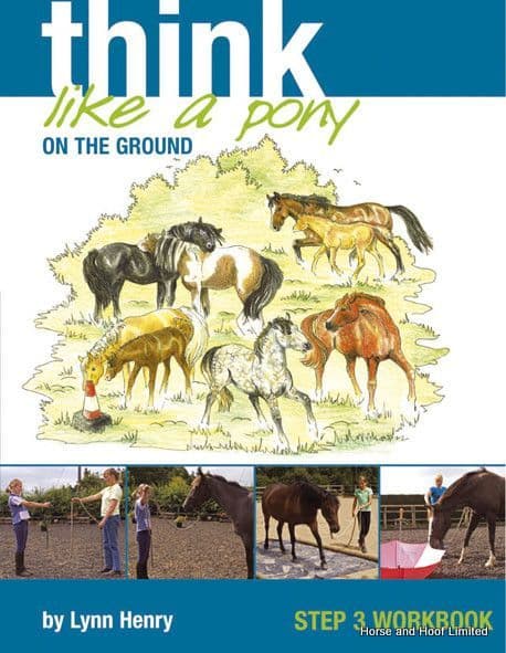 Think Like A Pony On The Ground Step 3 Workbook - Lynn Henry